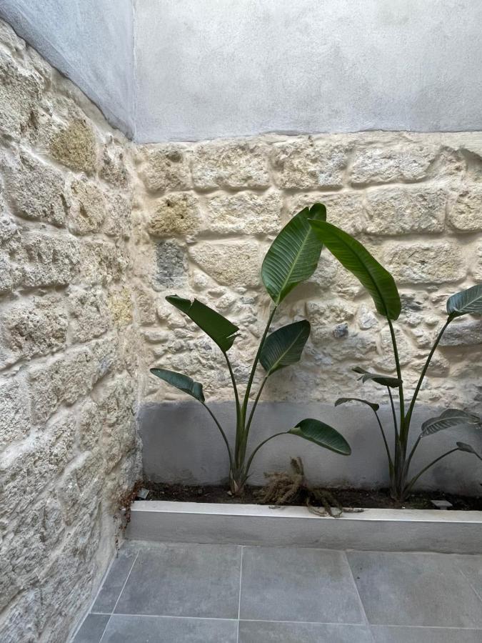 Maison Poissonnerie Le Grau-du-Roi Εξωτερικό φωτογραφία